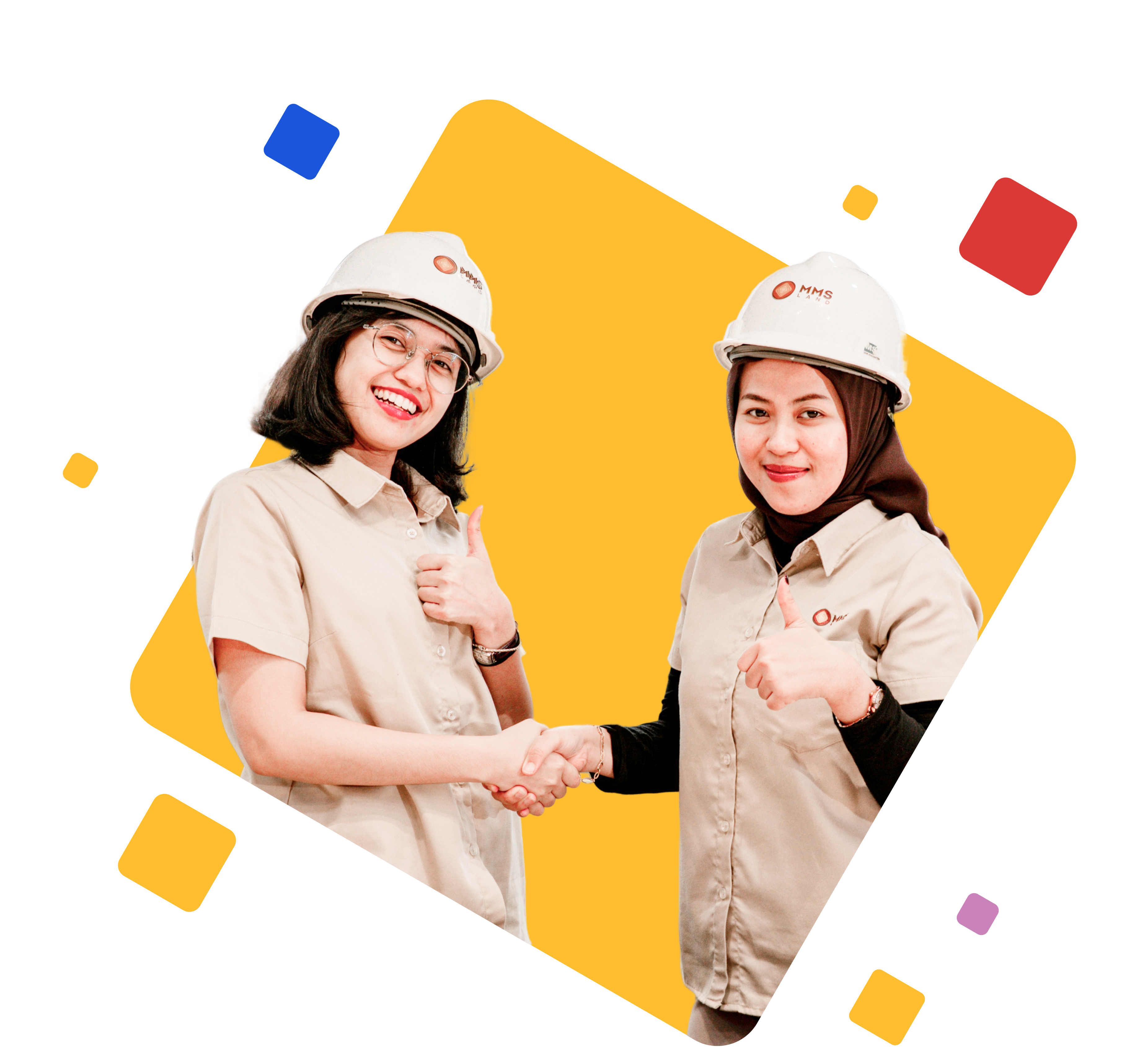 FindBids — discover government bids